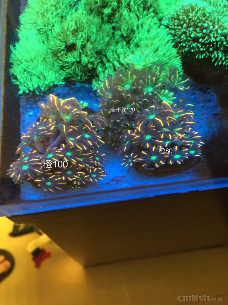 30岁香川真司加盟西乙队!前亚洲一哥告别五大联赛_JDB电子试玩网页版(图3) JDB电子游戏官网