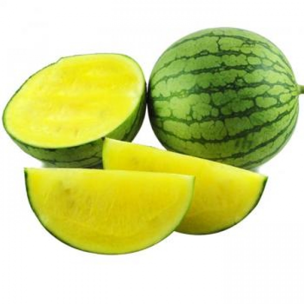 JDB电子试玩网页版