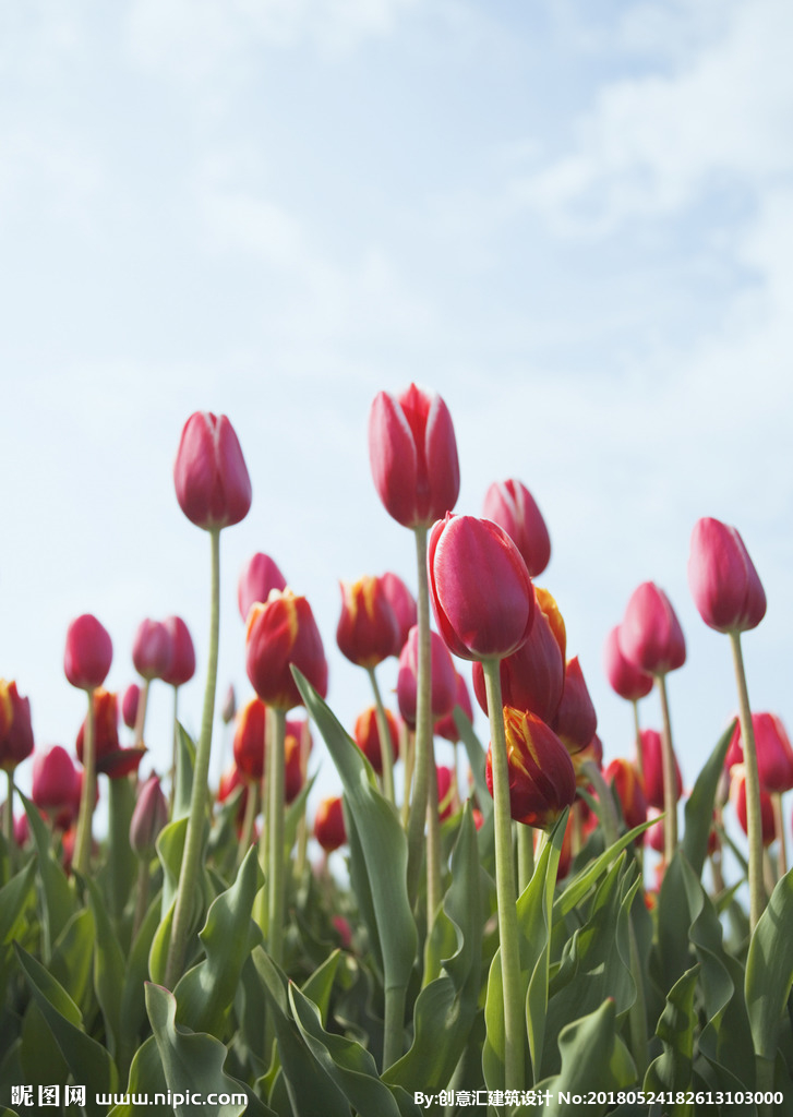 ‘JDB电子’这样可以生男孩？ 女性阴道清洁五大误区