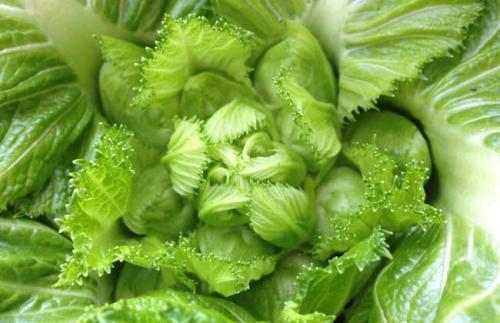 JDB电子试玩网页版