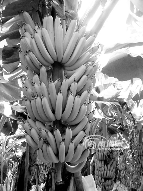 JDB电子游戏官网