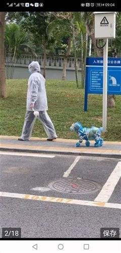 JDB电子游戏官网