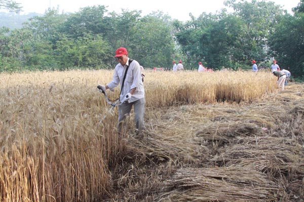 ‘JDB电子试玩网页版’武昌装修公司哪家