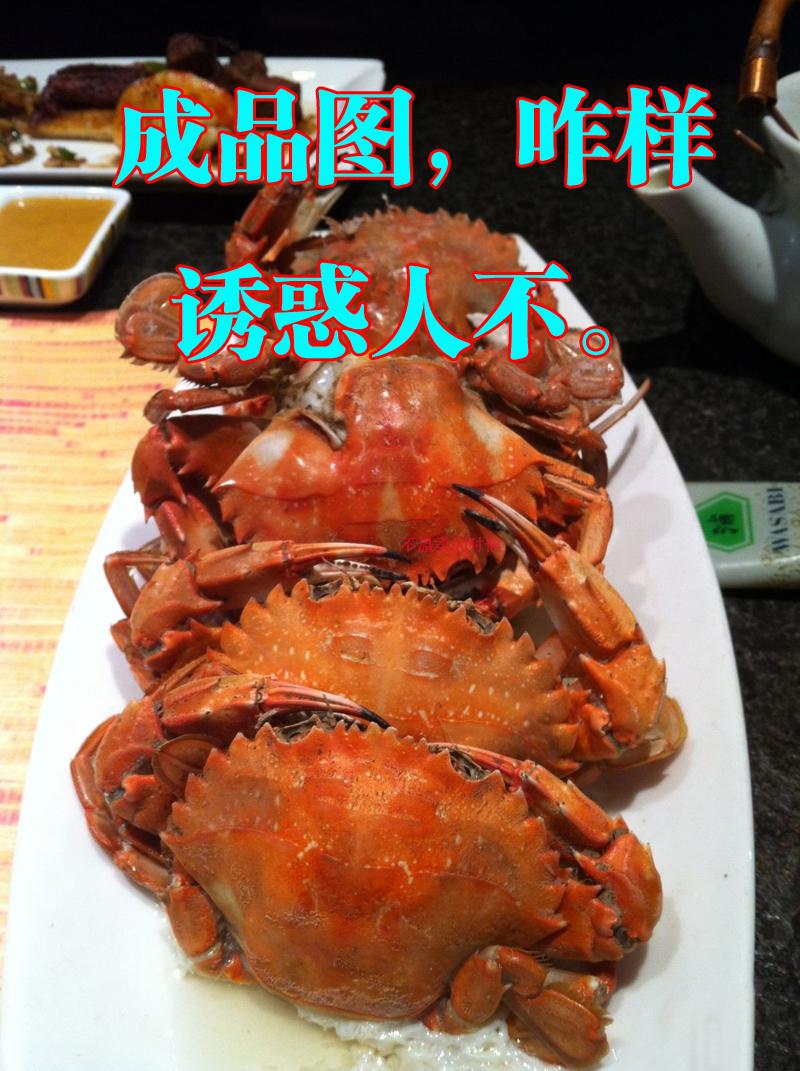 JDB电子游戏官网