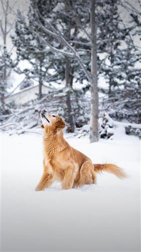 JDB电子_别傻!饿着肚子的爱情是浮云(图1) JDB电子游戏官网