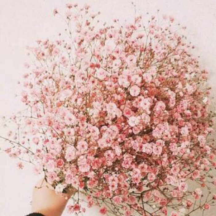 ‘JDB电子试玩网页版’史上最全的墙纸安装流程(图1) JDB电子游戏官网