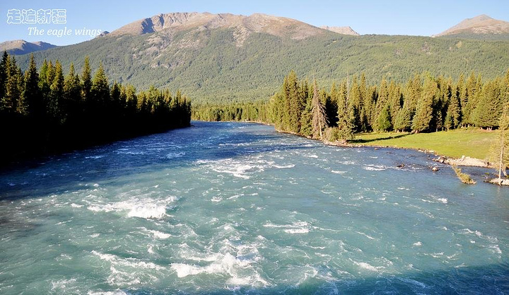 JDB电子游戏官网