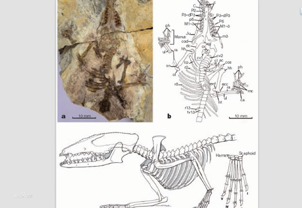 德甲最佳阵容:超级马里奥终归来 J罗榜上有名:JDB电子游戏官网(图3) JDB电子游戏官网
