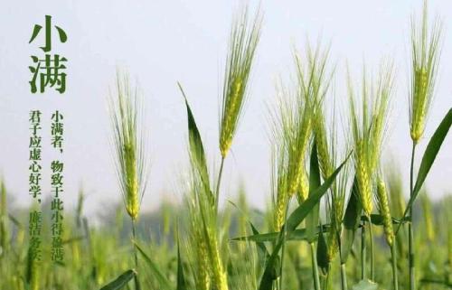 “JDB电子游戏官网”曝瓜帅去意已决明夏执教曼城 拜仁锁定安帅接班(图2) JDB电子