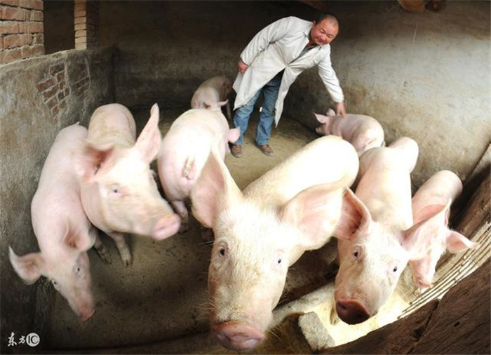 JDB电子游戏官网