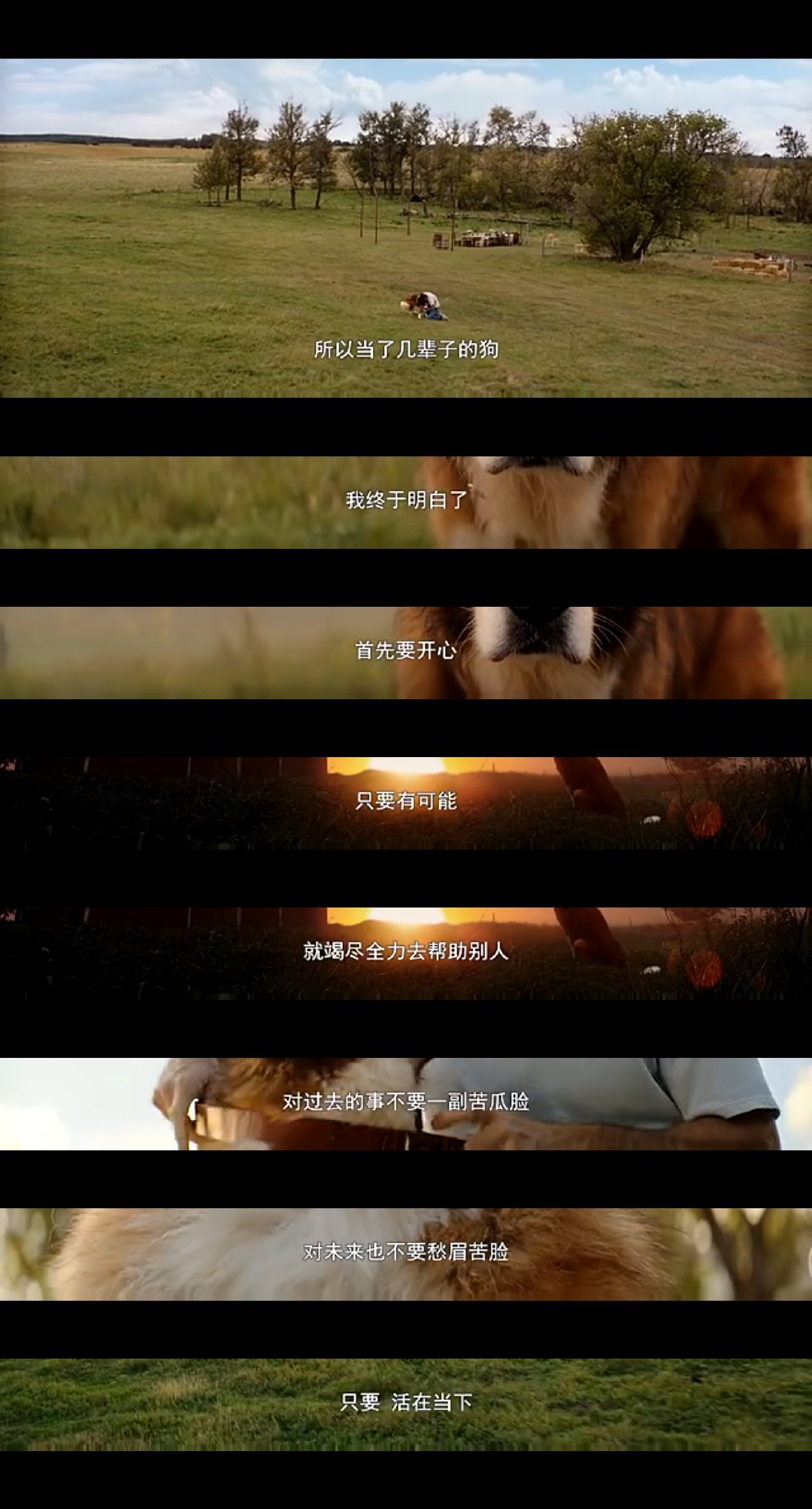 JDB电子游戏官网