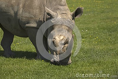 JDB电子游戏官网